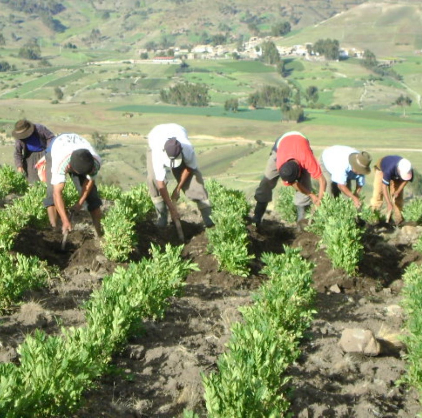 Estudiante usando laptop